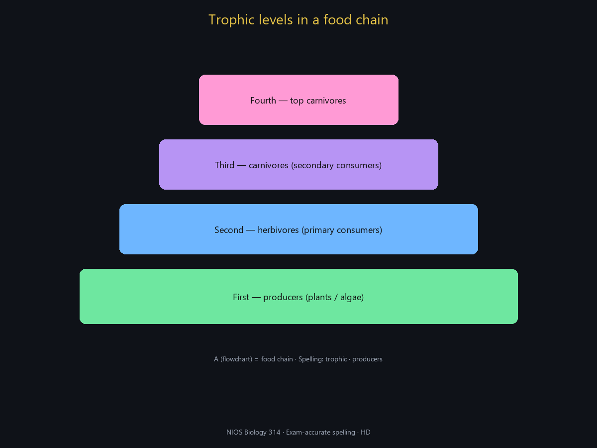 Spell-checked HD trophic levels.